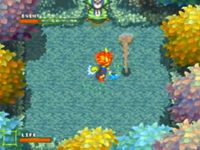 Linkle Liver Story sur Sega Saturn